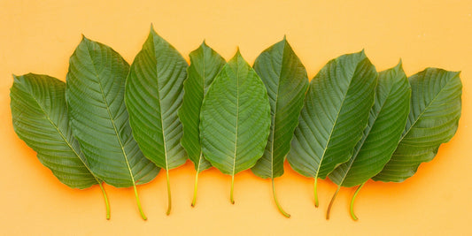 7 Proven Kratom for Energy Strains: Ultimate Guide for Amazing Results