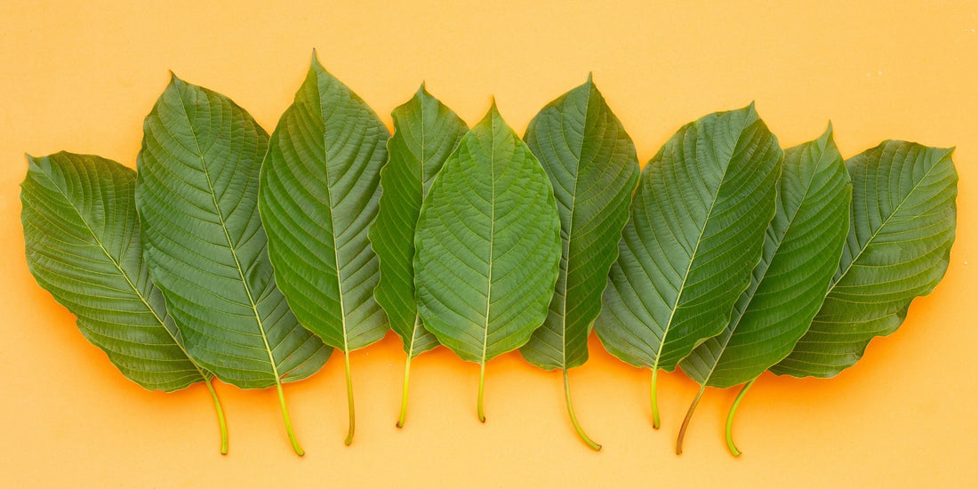 Smart Kratom Capsules Guide - Dosage, Strains & Quality Tips