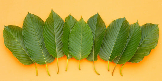 Red vs. Green vs. White Vein Kratom: Which Strain Should You Buy in 2025?